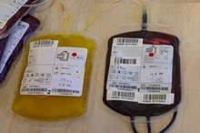 5c6e5b41d43750e31d8b45f1