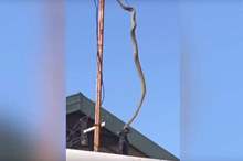 5c72d85b95a59737098b45d0