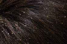 51cb848a-b42c-4c69-ad5e-bf7175c55406_16x9_1200x676