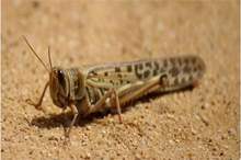 main_image5c35908d432e2