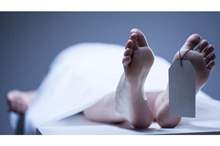 uploads%2Fcard%2Fimage%2F803685%2Fe09a09b8-68a3-4852-8723-d450f87a2ef4.jpg%2F950x534__filters%3Aquality%2890%29