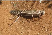 PHOTO-2019-01-10-14-54-28-1