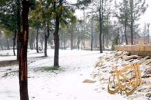 2201918151958470957456