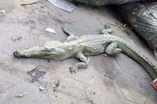 768b47b0-25b6-49ea-b531-e30cfa65ea93