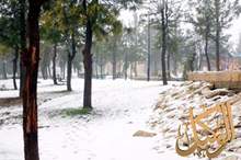 220192683855332686808