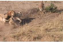 5c764fc8d43750771c8b458d