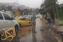 52923154_288560385147008_7217011217380933632_n