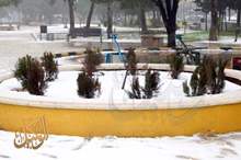 Image1_120191714362960437574