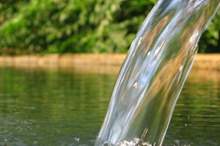 7cfcb8aabbd61a7ffe877721ff84e17a