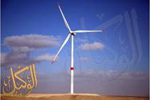 50461270_1008962139300201_7167999215262498816_n