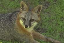 5c546c8fd43750261b8b45a8