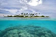 5c5954e8d43750c40e8b4593