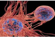 5c59849a95a597620a8b45ba