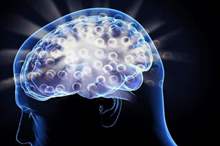 5c59a39295a597230b8b461c