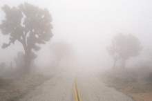 275386_3_1512925512-715x400