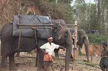 5c5c3e2d95a59760698b45f7