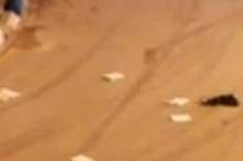 51748870_240482296862445_5533686793888595968_n