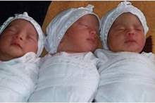 71321107428e0bcaa998799c86b36d14