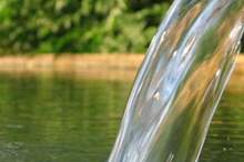 220191111323184483969