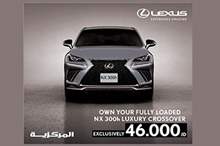 ADS-Lexus NX-2019 (300x250)-01