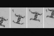 5c875f54d43750c5288b4579