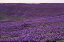 dce4fab3-da8d-467e-b494-18e689bdd6fe_16x9_1200x676