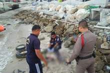 f2d69fe5-54b6-48b2-984c-350fe42814fb