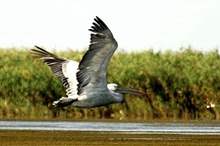 5c867b13d43750796a8b4567