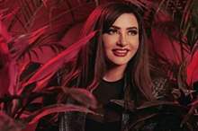 1-241-730x438-jpg-35264178532564986