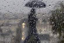 main_image5c89e7c5acf6d