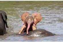 5c891a99d4375049208b45fb