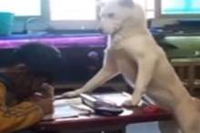 5c8a2474d43750c97b8b4570