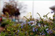 3201910234537976416332