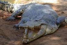 5c8b6ba995a59778588b4630