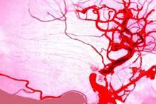 5c8a369c95a597ab338b45c1