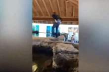 5c8f5706d4375001038b457b