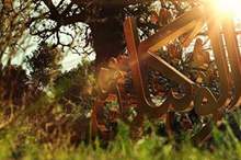 22019220634256320680