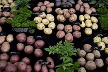 5c8f7276d437504c038b45be