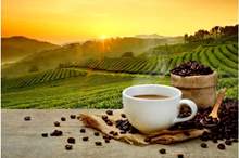 shutterstock_524061637-640x480