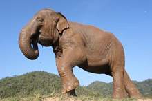 tongJaan_24Dec2012_n-600x405