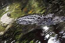 5c91fe5d95a597aa078b45e2