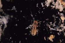 5c910b6bd43750417b8b45e6