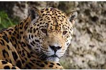 5c795a8295a597164b8b458c