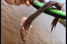 5c78ebf3d43750be428b45f7