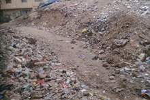 53023795_1937423806366695_8627786890398924800_n