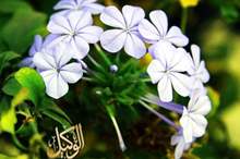 120192312202773970519