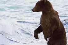 5c94f8a295a59733378b4583