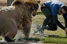 Doc-P-569278-636889467177427482