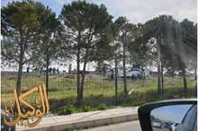 WhatsApp Image 2019-03-23 at 9.15.19 AM (1)