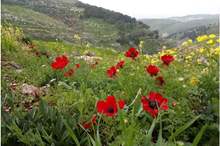 53735571_1227821820727798_3722606261779300352_n